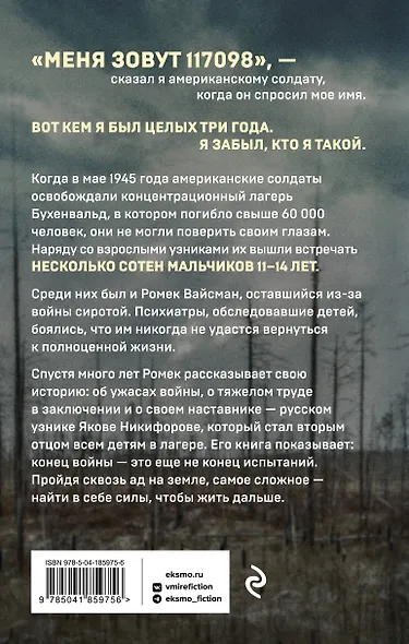 Мальчик из Бухенвальда. Невероятная история ребенка, пережившего Холокост - фото 2
