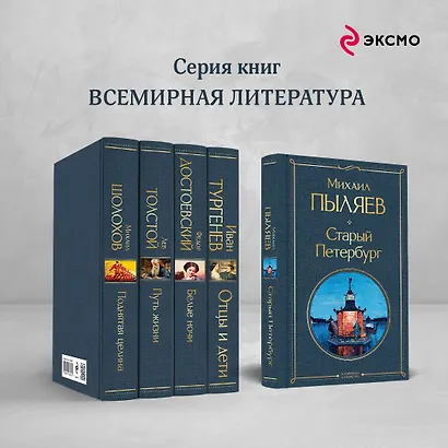Блеск двух столиц (набор из 2 книг: Москва и москвичи, Старый Петербург) - фото 6