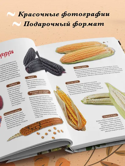 Семена и зерна. Иллюстрированный атлас. Удивительные факты о сельскохозяйственных культурах и их влияние на развитие человечества - фото 6