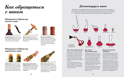 Wine Folly. Издание Магнум, детализированное - фото 9