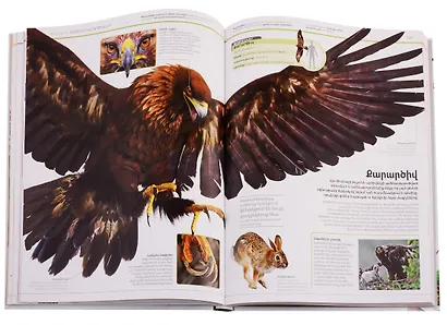 Энциклопедия знаний. Животные (на армянском языке) - фото 4