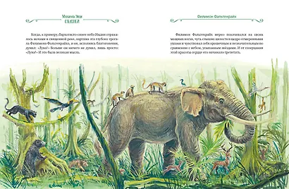 Сказки (ШДЛ) - фото 5