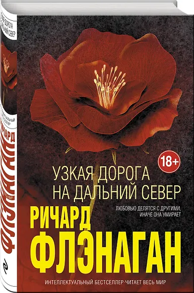 Узкая дорога на дальний север - фото 3