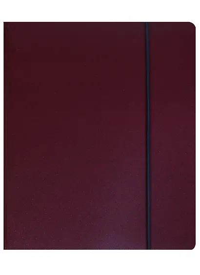 Тетрадь на кольцах в клетку Hatber, Metallic, 120 листов, в ассортименте - фото 2