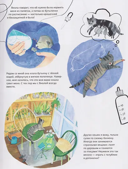 Кошачье досье - фото 3