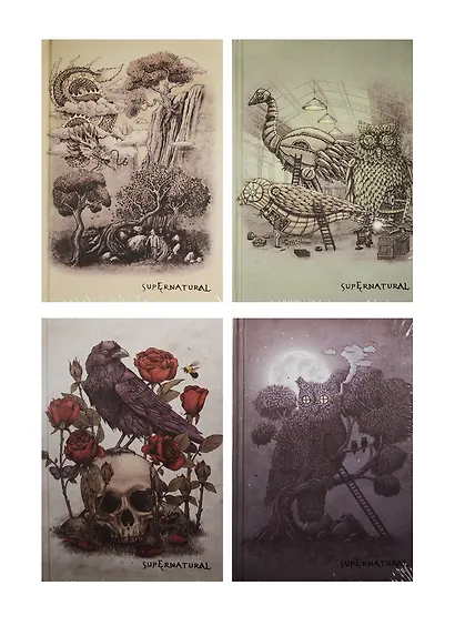 Записная книжка А6+ 160л 12*19 "Super Natural" блок тонир. линия, Haich - фото 2