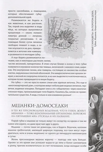 "Живые самоцветы" за порогом дома - фото 8