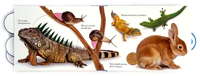 Кто? - фото 5