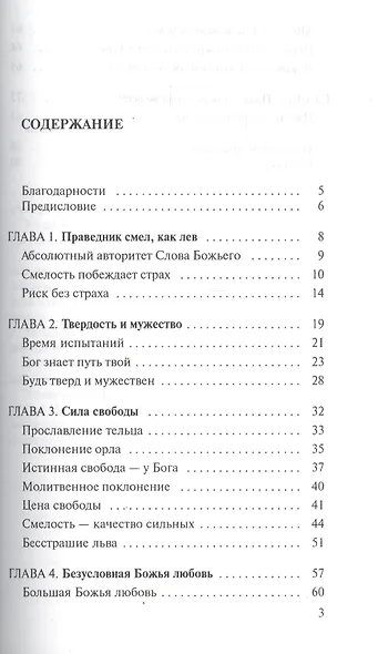 Львы Господа Бога - фото 2