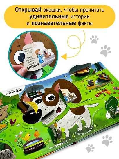 "Смотри, собака!". Книга с окошками - фото 5