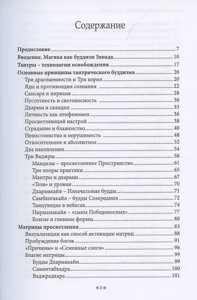 Просветленные Матрицы. Тантрический Буддизм глазами западного мага - фото 2