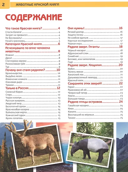 Животные Красной Книги - фото 2