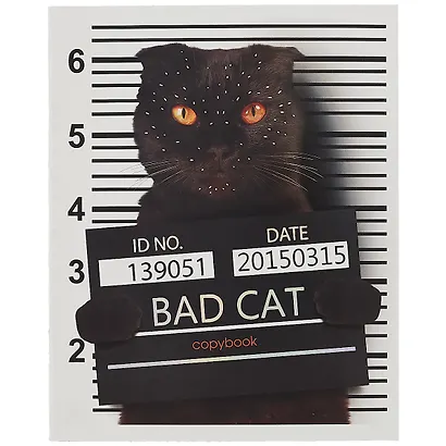 Тетрадь в клетку Listoff, "Пушистые хулиганы", 48 листов, в ассортименте - фото 5