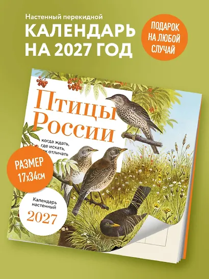 Птицы России: когда ждать, где искать, как отличать. Календарь настенный на 2027 год (300х300 мм) - фото 3