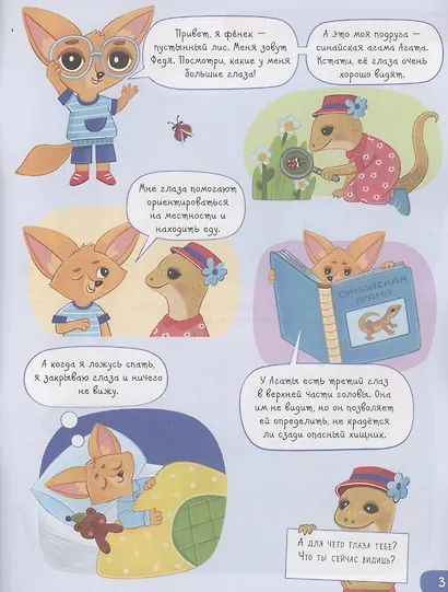 Органы чувств: вижу - фото 3