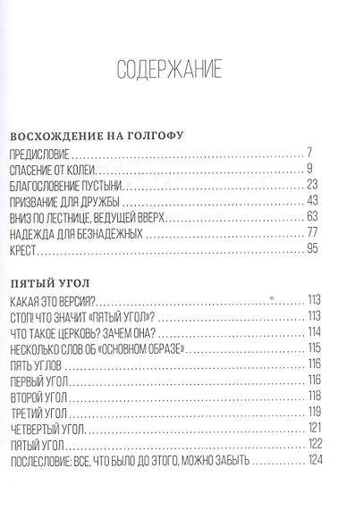 Восхождение на Голгофу. Пятый угол - фото 2