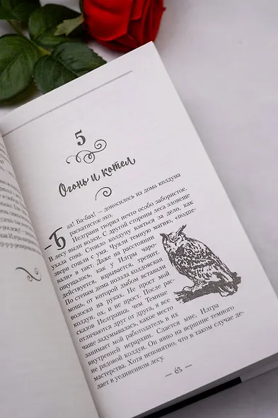 Ассистентка колдуна - фото 8