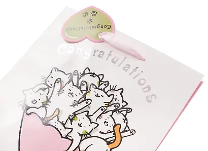 Пакет А5 23*18*10 "Котики. Congratulations" нейтр., бум.мат.ламинат - фото 2