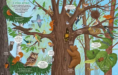 Виммельбух с наклейками. В лесу - фото 5