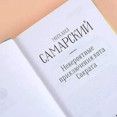 Невероятные приключения кота Сократа - фото 7