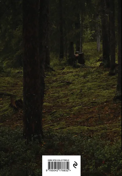 Блокнот в точку. Rumie Nordur (А5, 64 л.) - фото 6