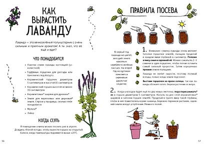 Огород круглый год. Твоя грядка на балконе - фото 6