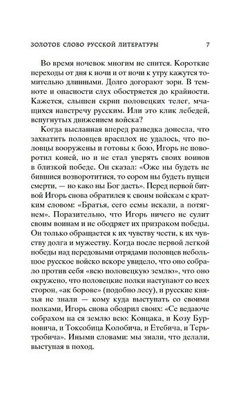 Слово о полку Игореве - фото 13