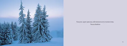 Деревья. Красота и гармония - фото 4