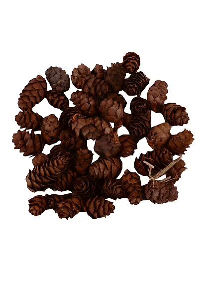 Шишка мелкая, 50 грамм - фото 1