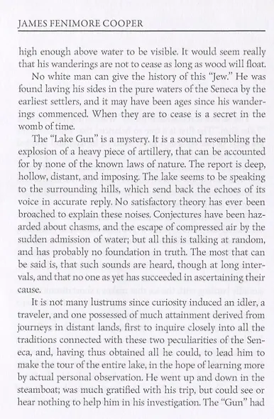 The Lake Gun and Other Stories = Озерное ружье и другие истории: на английском языке - фото 4