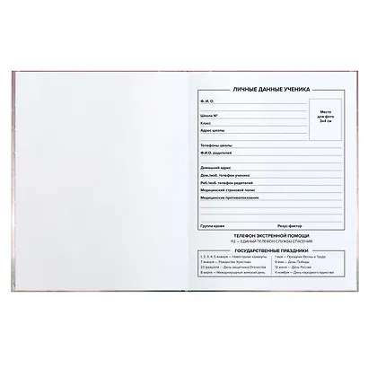 Дневник школьный Феникс+, "Серый пушистик" - фото 4