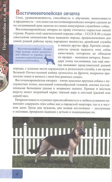 ЭНЦИКЛОПЕДИЯ. В МИРЕ ЗНАНИЙ. ПОРОДЫ СОБАК ОТ А ДО Я - фото 3