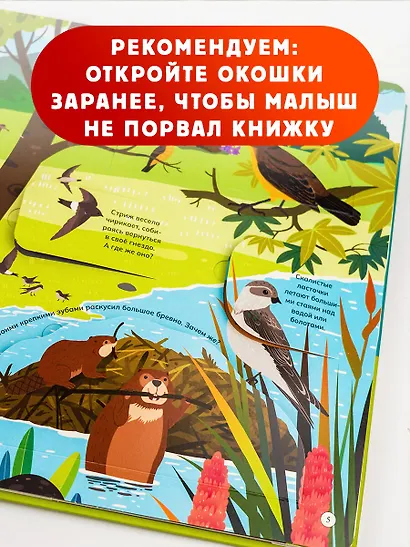 Животные и птицы - фото 7