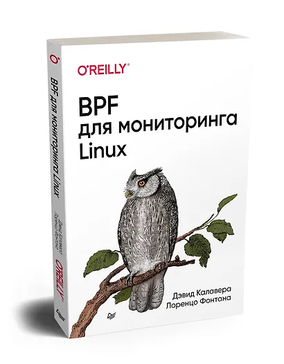 BPF для мониторинга Linux - фото 2