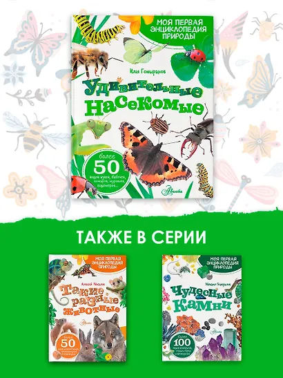 Удивительные насекомые - фото 7