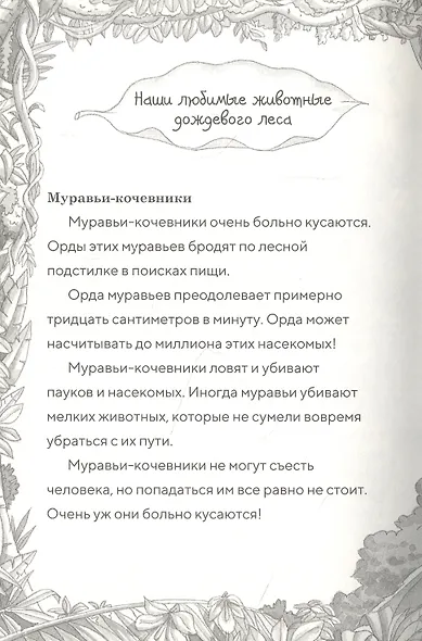 Полдень на Амазонке (Волшебный дом на дереве - 6) - фото 6