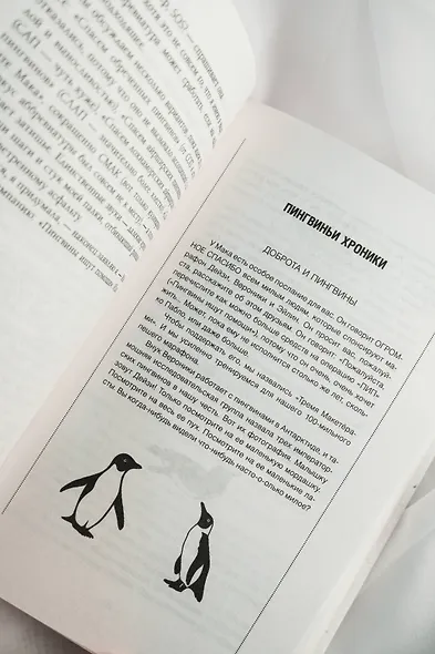 Унесенная пингвинами - фото 15