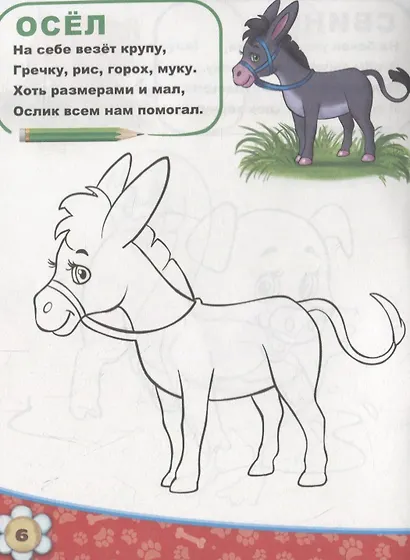 Домашние животные - фото 2