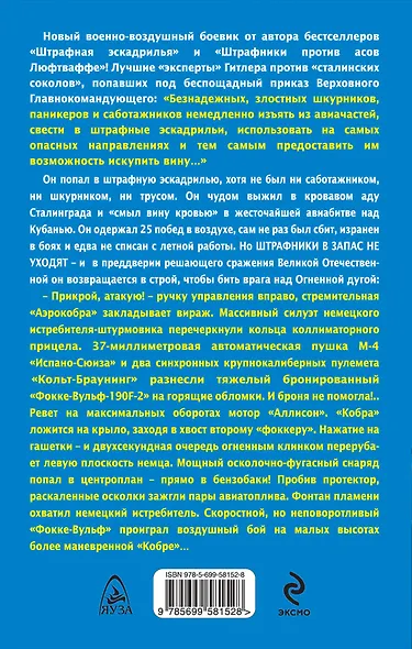 Штрафники в запас не уходят. Смертники над Огненной дугой - фото 2