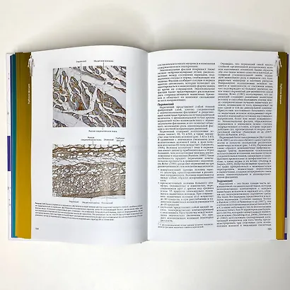 Полный атлас анатомии человека. Мышечно-фасциальные цепи - фото 7