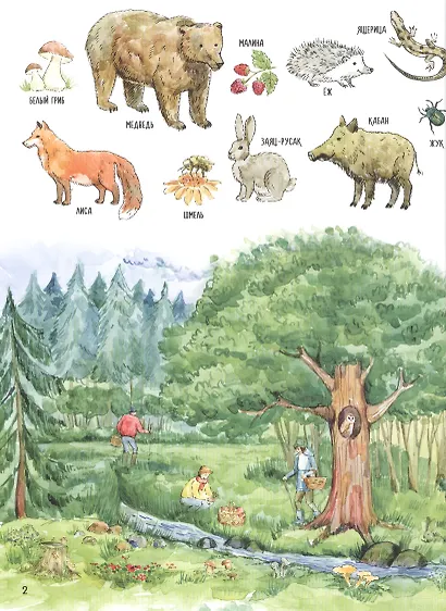 Первая книга о природе и животных - фото 2