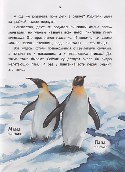 Павлиненок? Цыпленок! Крылатые семьи: факты и игры - фото 4