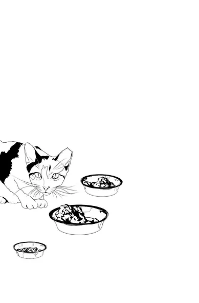 Тридцать кошек и ни одной чужой. Мемуары о жизни, любви и принятии себя - фото 5