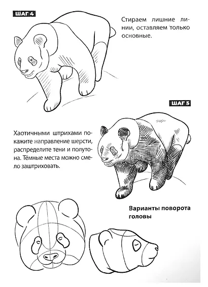 Скетчбук А5 Уроки рисования по шагам. Животные - фото 6