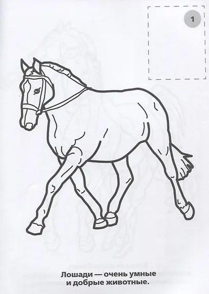 Лошади и Пони. (Наклей и Раскрась). - фото 2