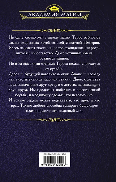 Янтарь и Льдянка. Школа для наследников - фото 2