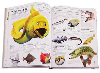 Энциклопедия знаний. Животные (на армянском языке) - фото 3