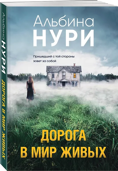 Дорога в мир живых - фото 3