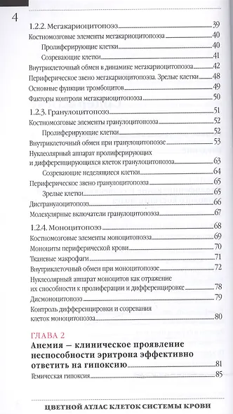 Цветной атлас клеток системы крови Один источник и 4 сост. части миелопоэза (м) Погорелов - фото 3