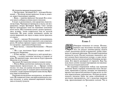 Огонь и лед - фото 4